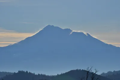 DSC_6024 (Large).JPG